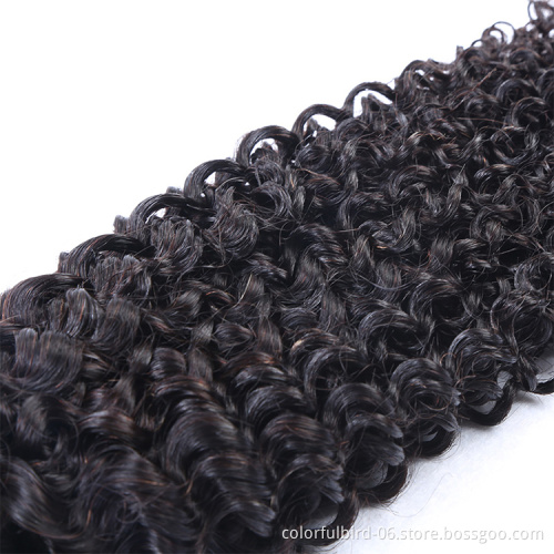 Natural Transparent  4X4 Lace Closure Front Human Hair Wig Virgin Hair Wig Bob kinky curly afro Wave Wig